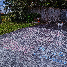 Photo of Kelcey - Auckland