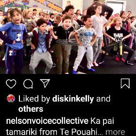 Photo of Te Pouahi Māori Medium/reo rua syndicate of Nelson Central School - Nelson