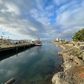 Photo of Mark - Tauranga