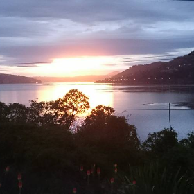 Photo of Erin | Dunedin