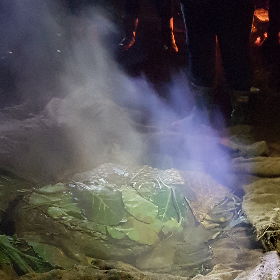 Photo of Josie | Matariki 2021