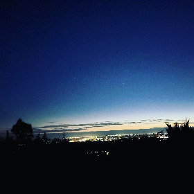 Photo of Juneea | Matariki 2021