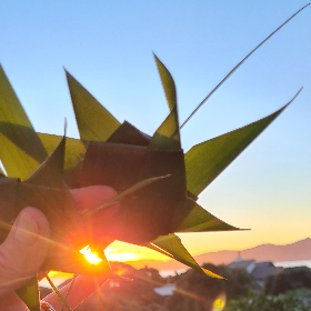 Photo of Christine Marie | Matariki 2021