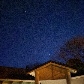 Photo of Tara | Matariki 2021