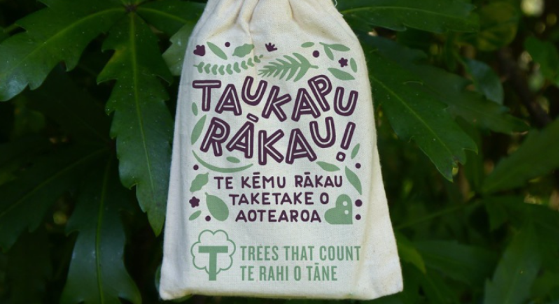 Te reo Māori game gets native trees in the ground this lockdown
