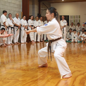 Photo of Seido - Tāmaki Makaurau