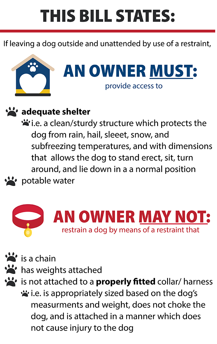 basic-shelter-bill.png