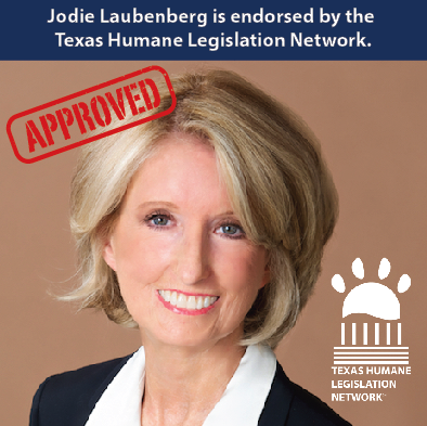Jason Villalba Jodie_Laubenberg_2016-10-14_at_12.48.32_PM.png