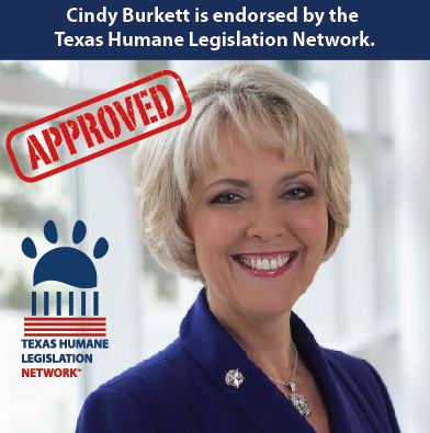 Sarah Davis Cindy_Burkett_2016-10-13_at_2.48.31_PM.png