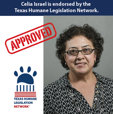 Jason Villalba Celia_Israel_2016-10-13_at_3.03.39_PM.png