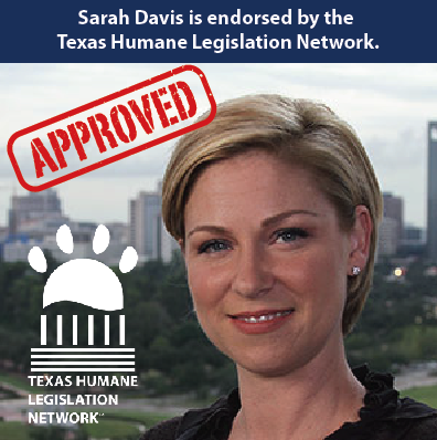 Jason Villalba Sarah_Davis_2016-10-13_at_2.28.49_PM.png