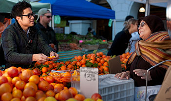 farmers market oranges