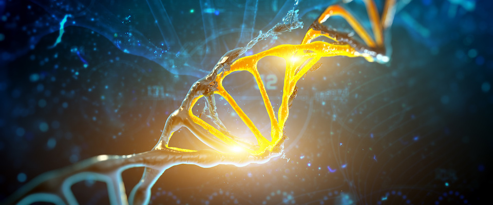 Banner Image of Lab Technician