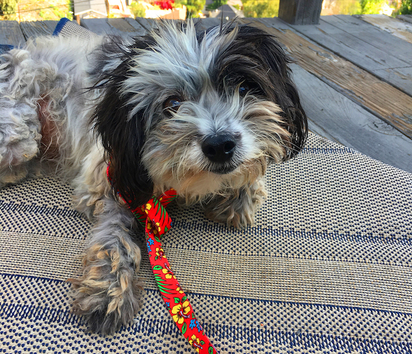 fergie
