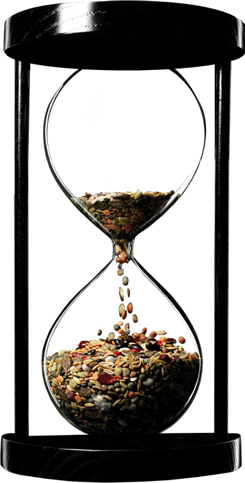 The Seeds of Time