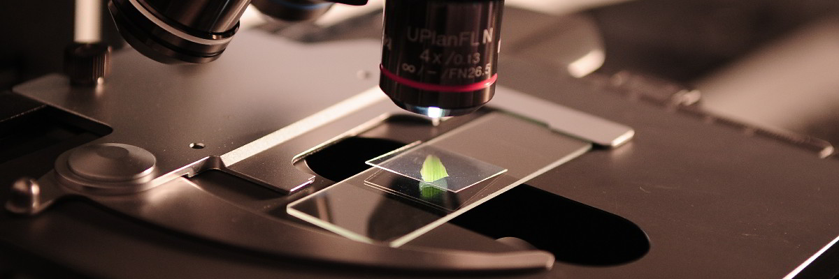 Microscope inspecting a slide.