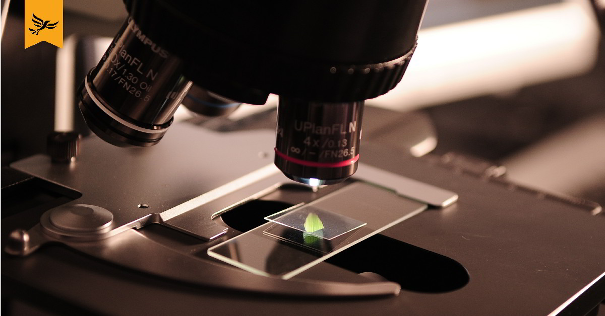 Microscope inspecting a slide.