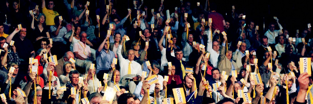 Lib Dem conference delegates voting.