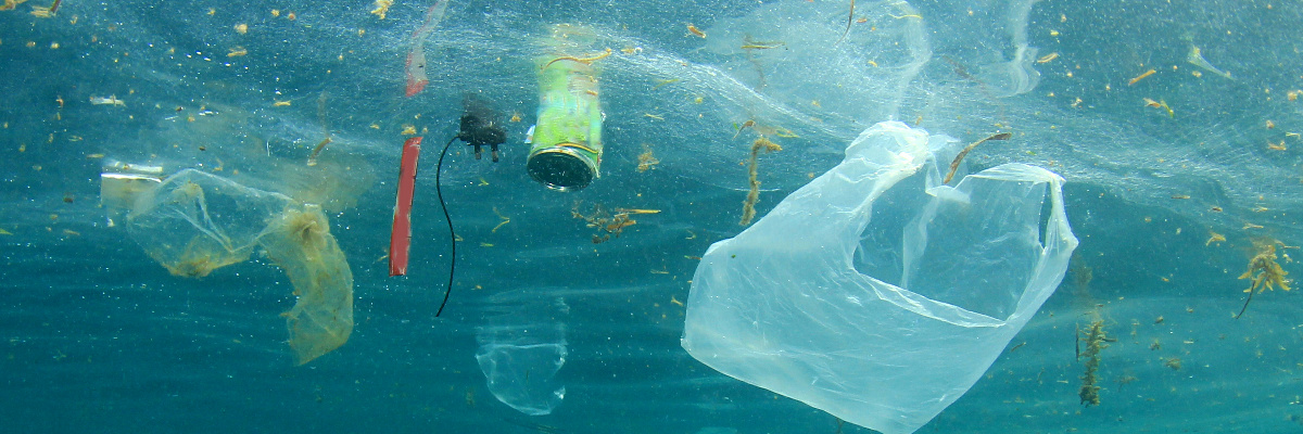 Plastic waste floating on the surface of water. Plastic like this is wreaking havoc on the environment