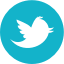 Twitter icon