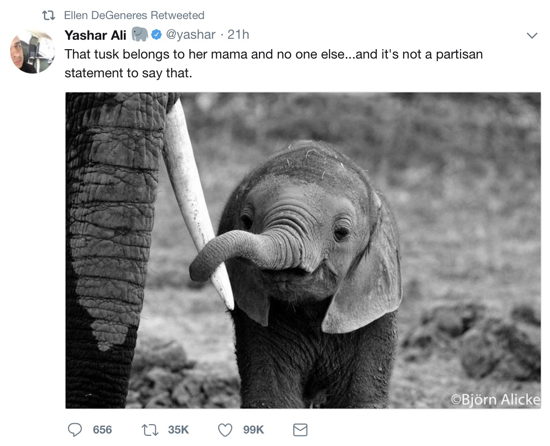 Ellen DeGeneres: 'Donald Trump is encouraging Americans to kill elephants'