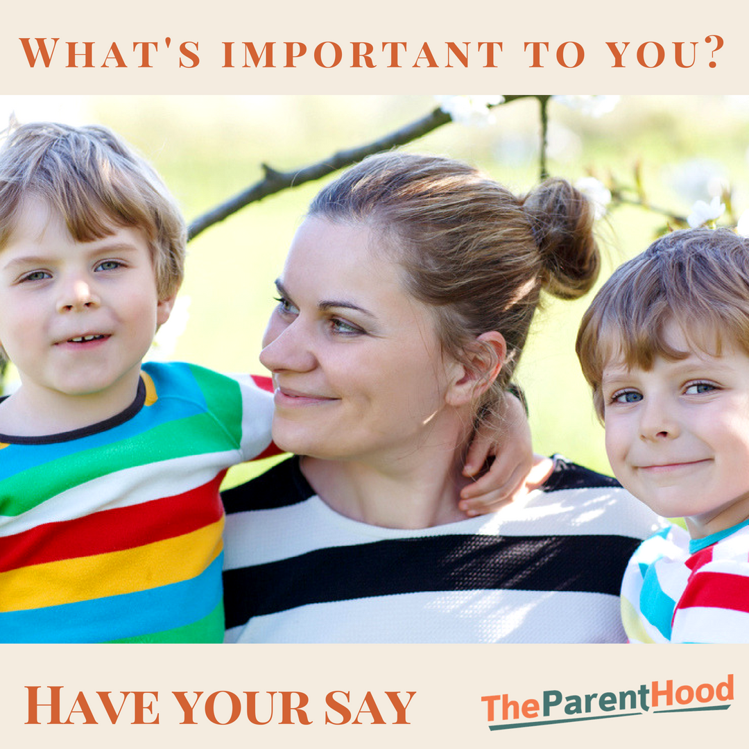 The Parenthood's 2018 National Survey