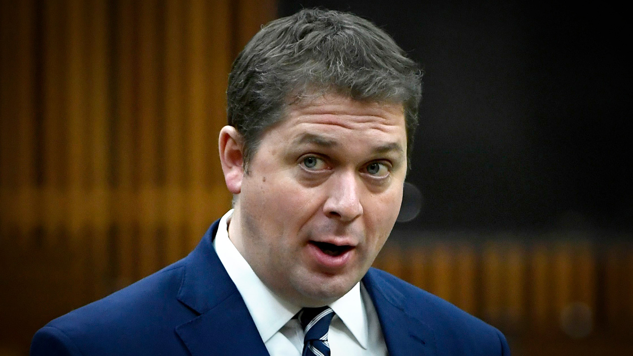 Andrew Scheer joins Liz May, brings family on packed government jet for free flight to Ottawa to vote on COVID measures