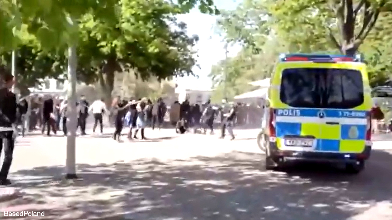 Swedish police unprepared for anti-police riots