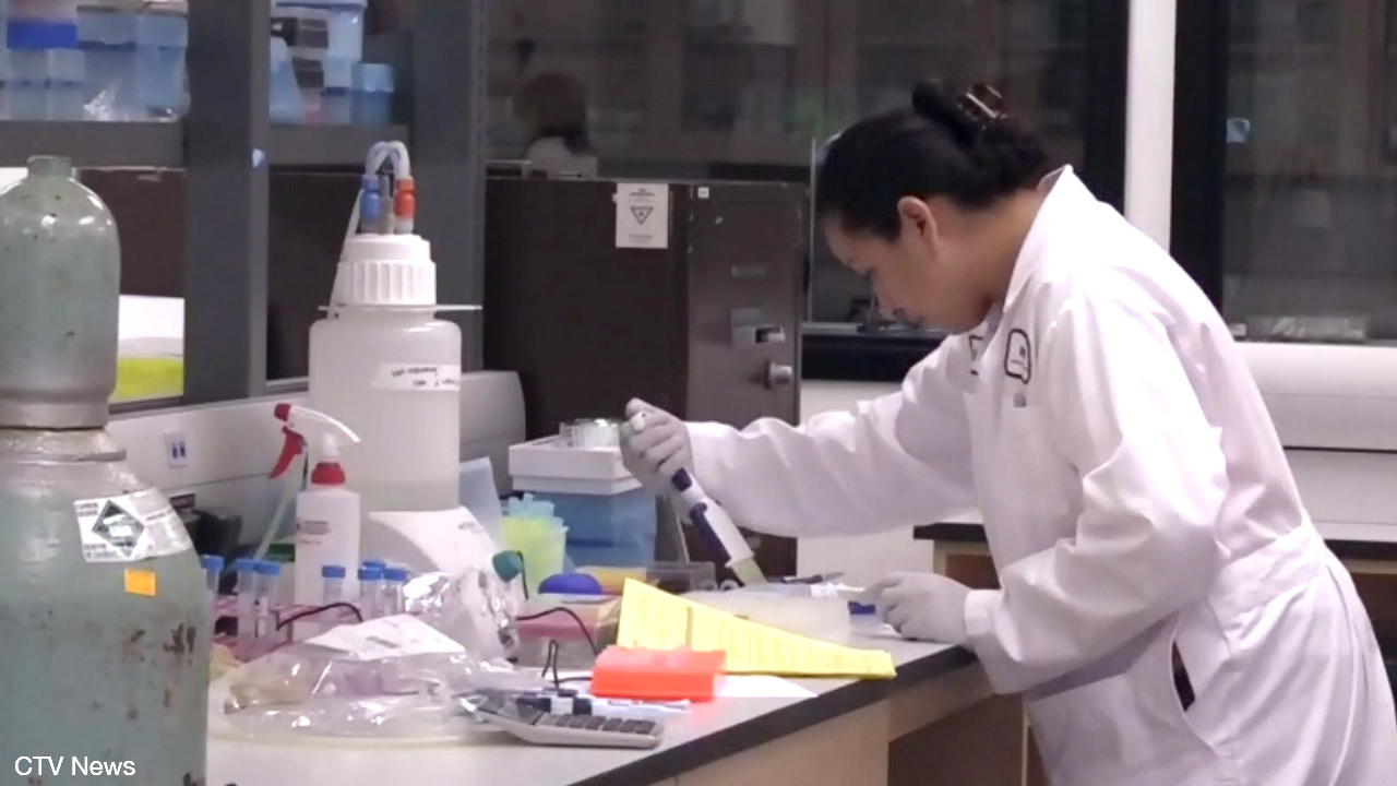 Human COVID-19 vaccine trials will start in Nova Scotia this summer