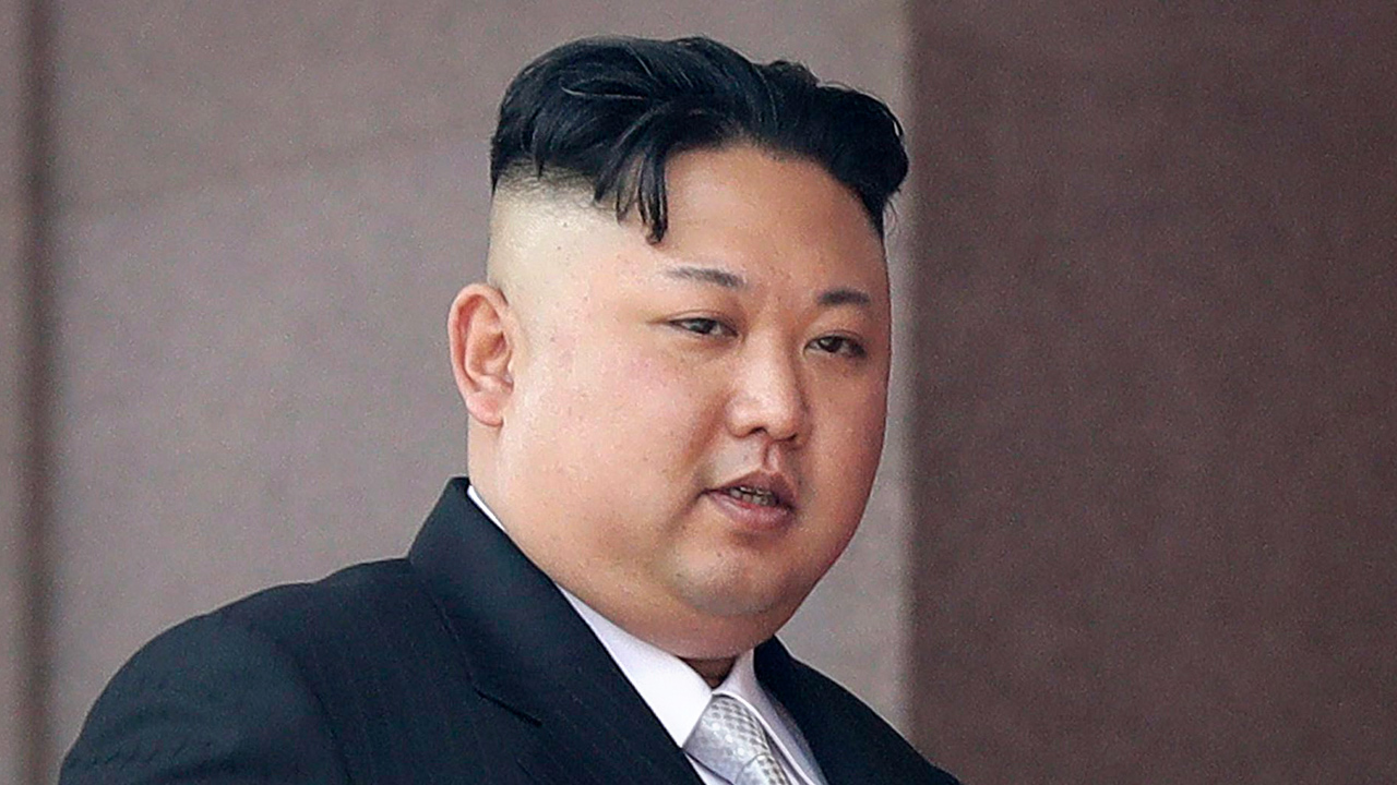 Pet dogs confiscated for food in North Korea due to shortages