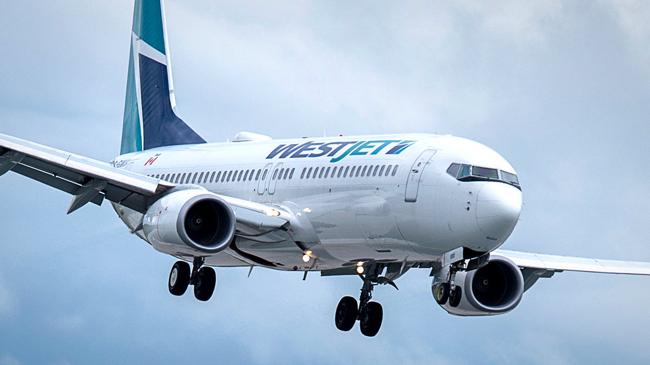 #WokeJet strikes again, removes New Brunswick family from flight headed to Toronto to visit terminally ill son
