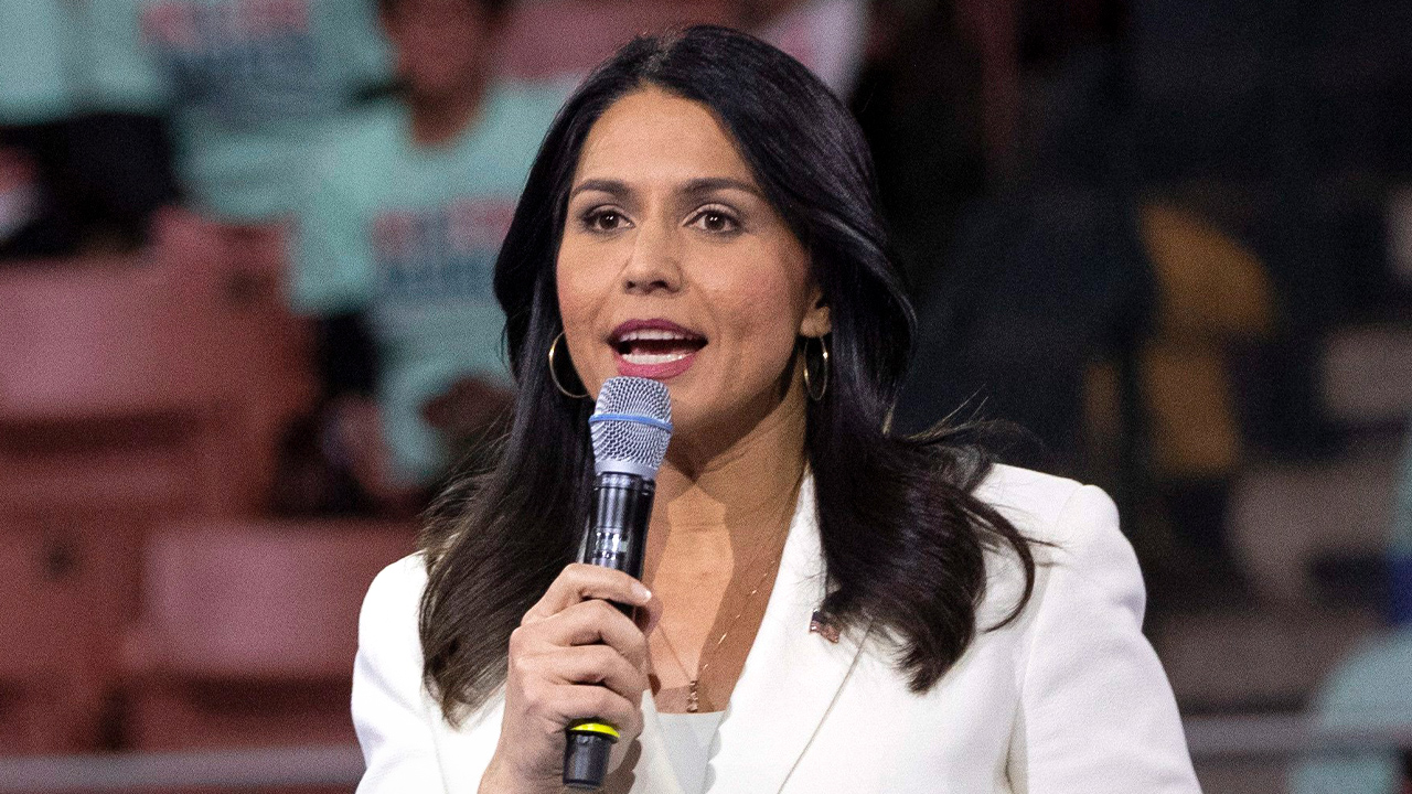 Tulsi Gabbard backs Project Veritas, wants to ban ballot harvesting