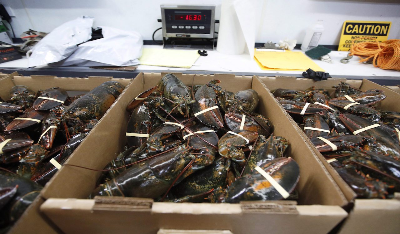 New Brunswick shellfish company hit with fine for 'abusing' Temporary Foreign Workers