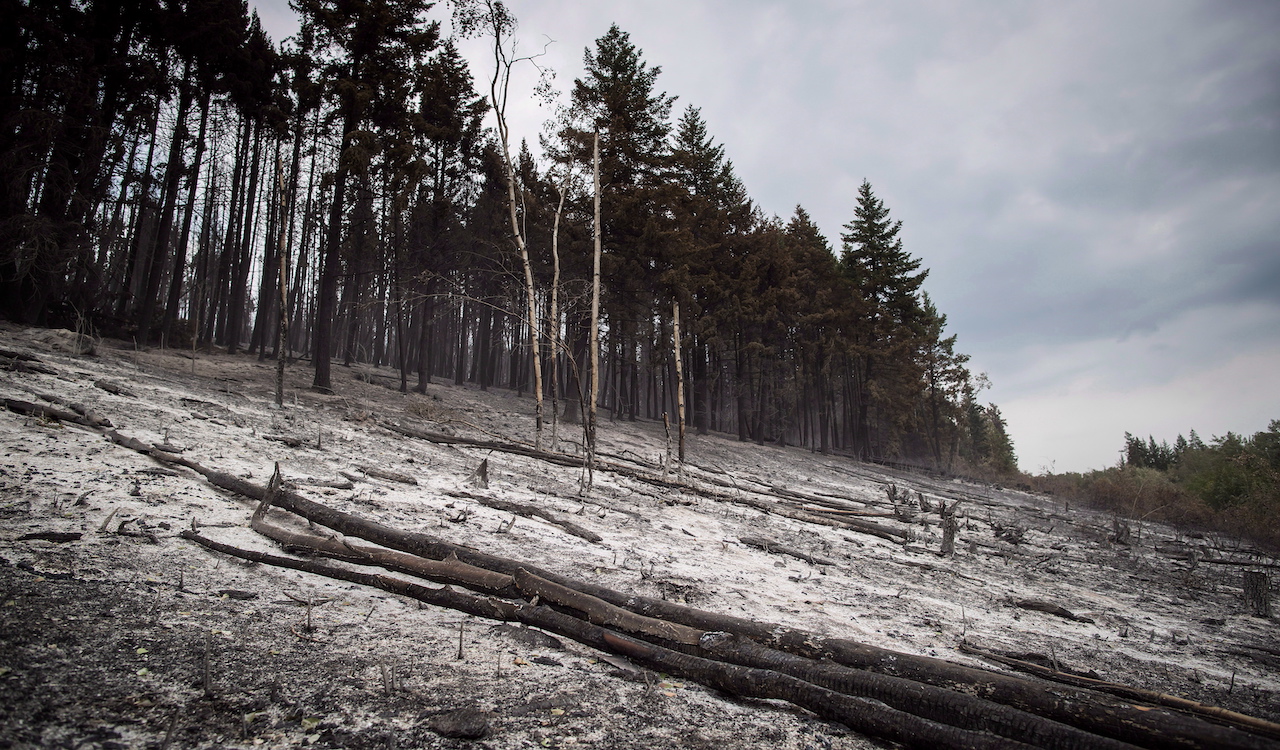 Forest fire activity in Canada continues downward trend, despite record highs in B.C., Northwest Territories
