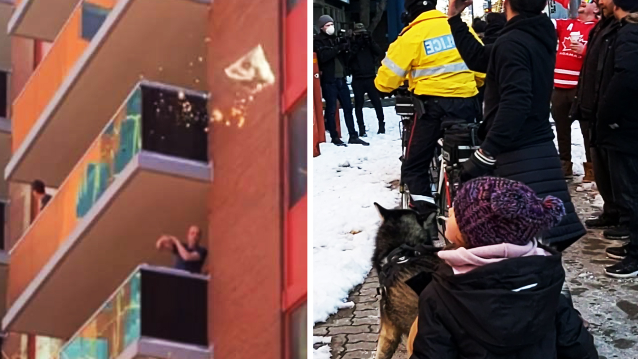 Arrest made after projectiles thrown at anti-lockdown protesters