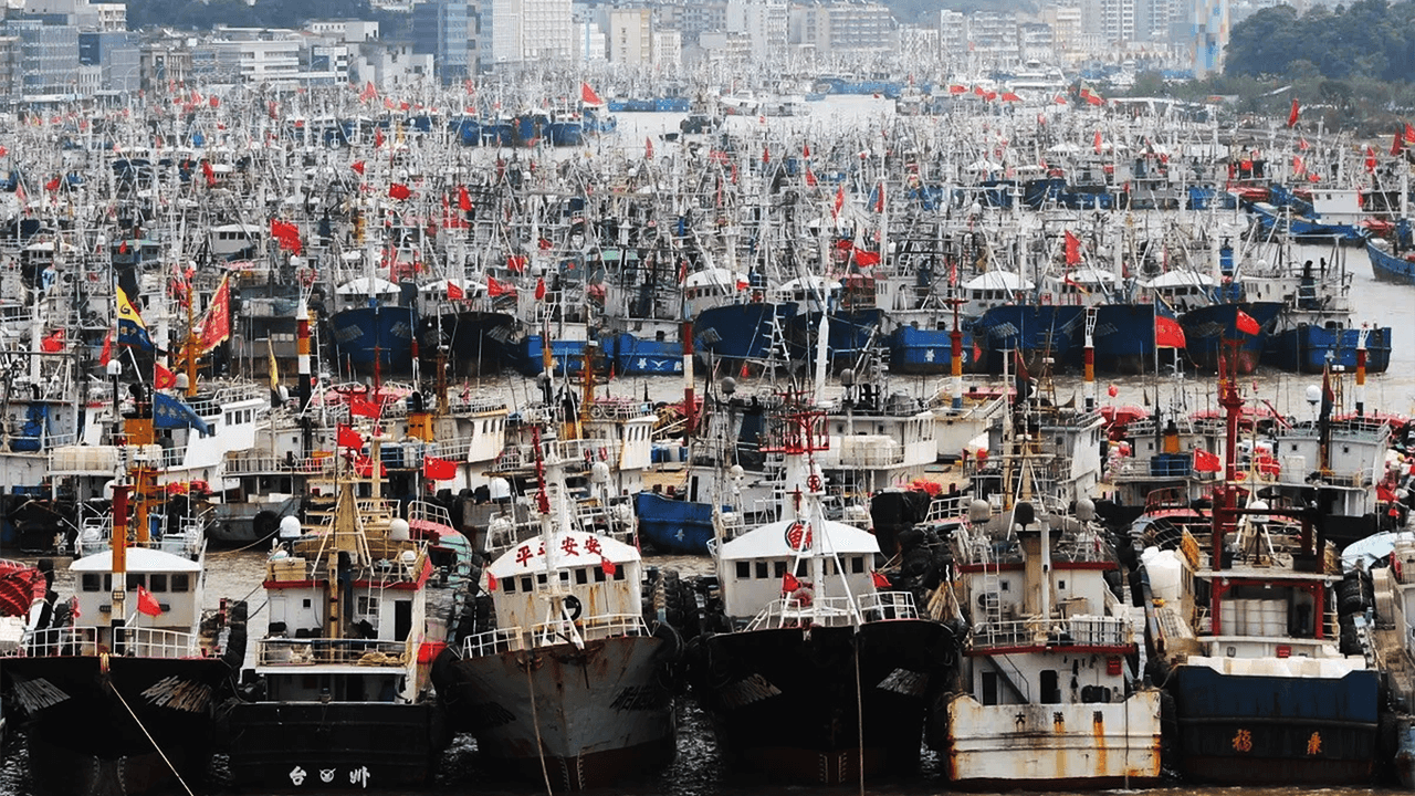 Illegal fishing by Chinese vessels is destroying South Pacific island economies, local wildlife