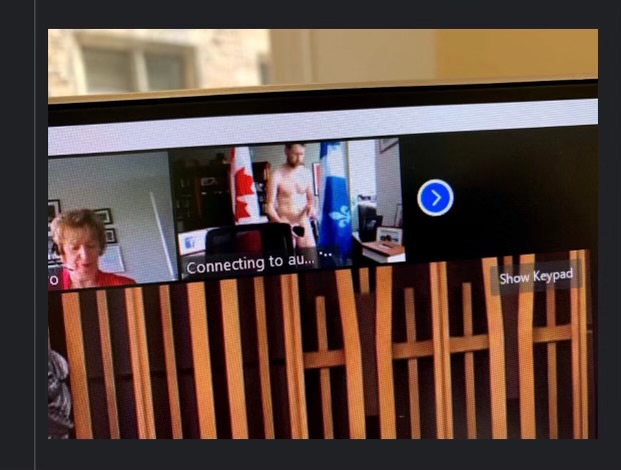 Liberal MP appears in Zoom parliament totally nude