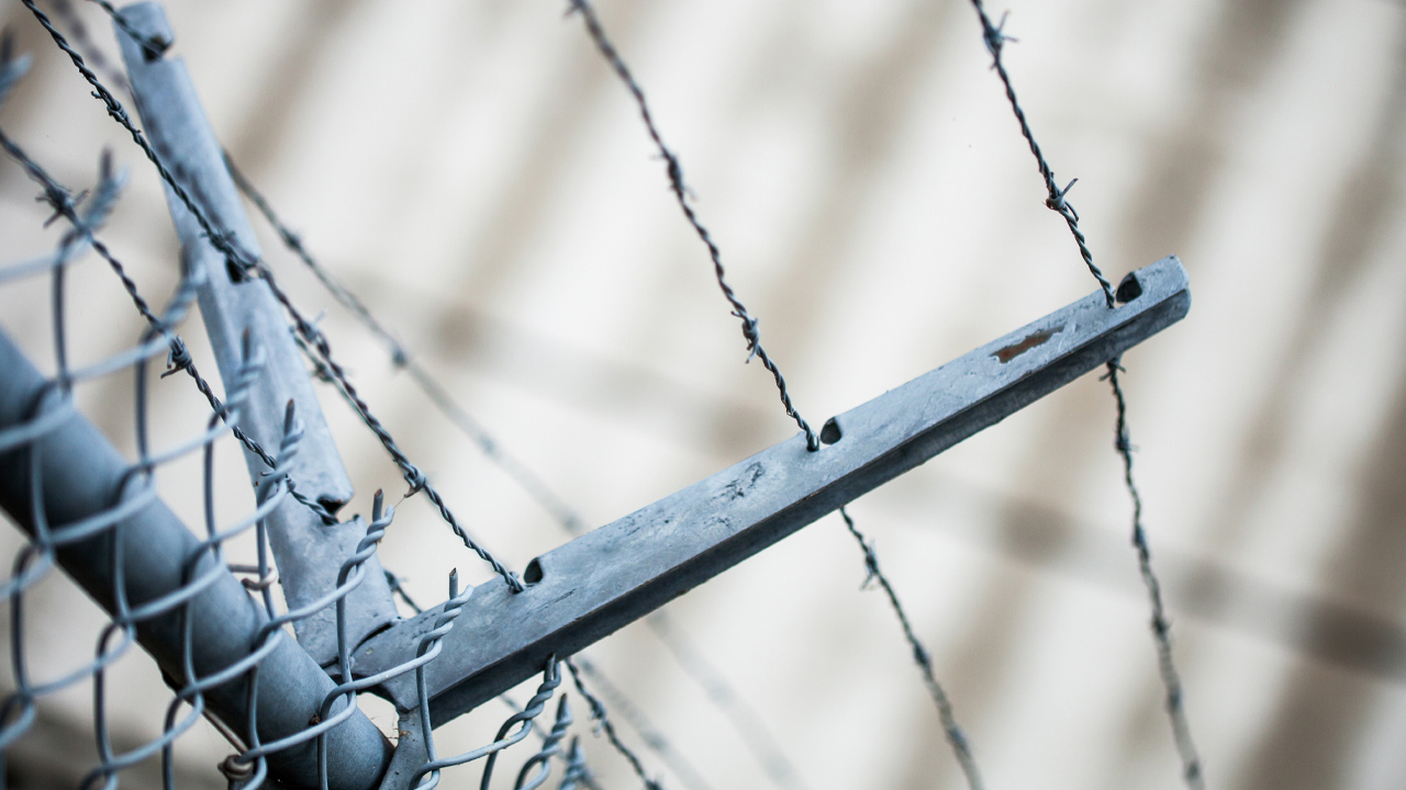 47 prisoners released due to COVID were “causing havoc” in Red Deer