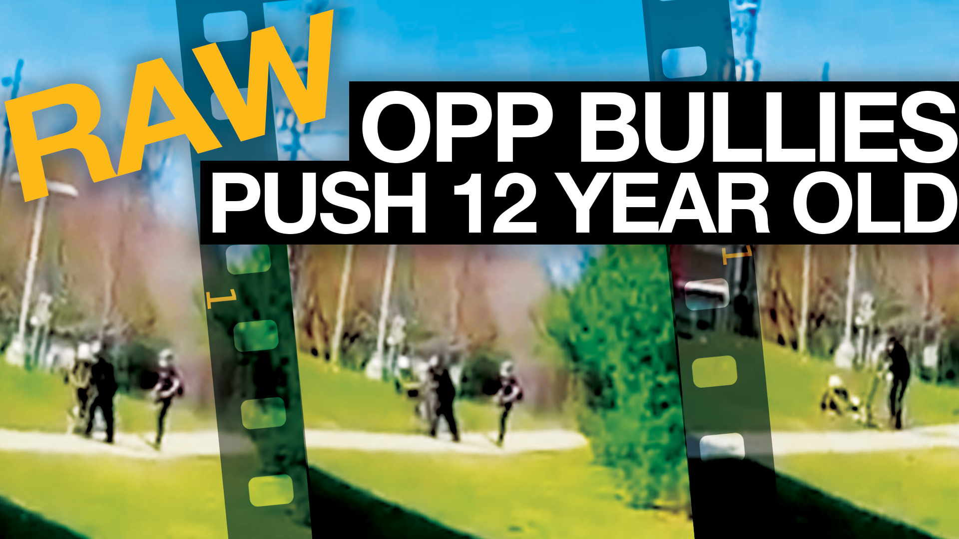 WATCH: Ontario police officer pushes child to the ground at park
