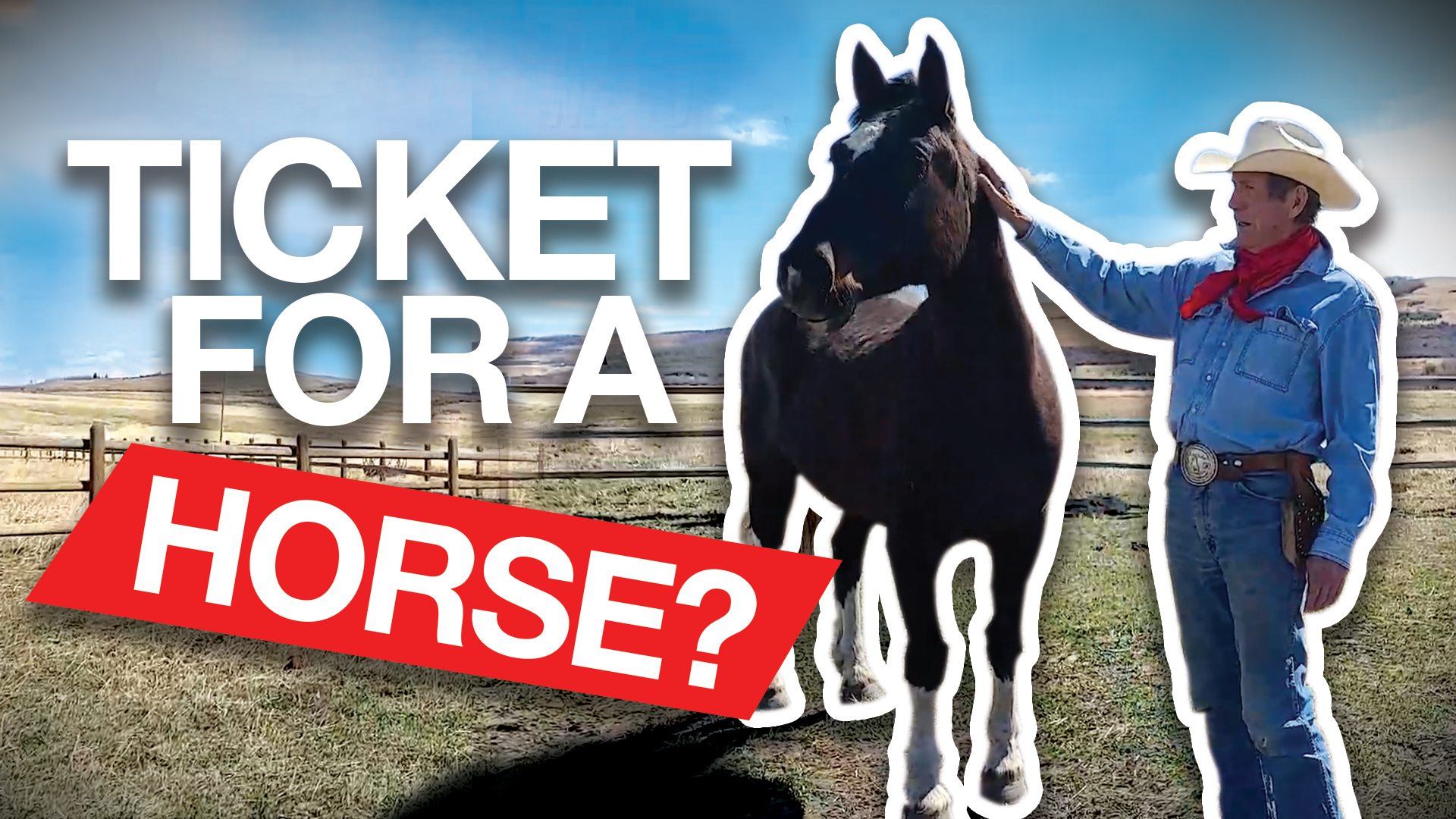 Two tickets for attending freedom rally — one for you, one for the horse