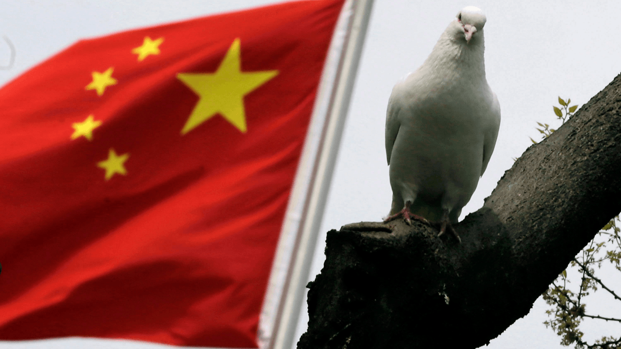 China reports first human case of H10N3 bird flu, but says risk of large-scale transmission is low
