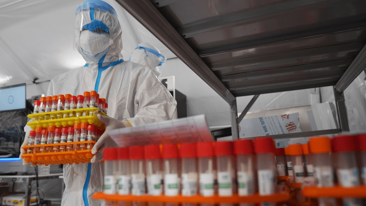 Early COVID samples were deleted from shared database by Chinese researchers, scientist says