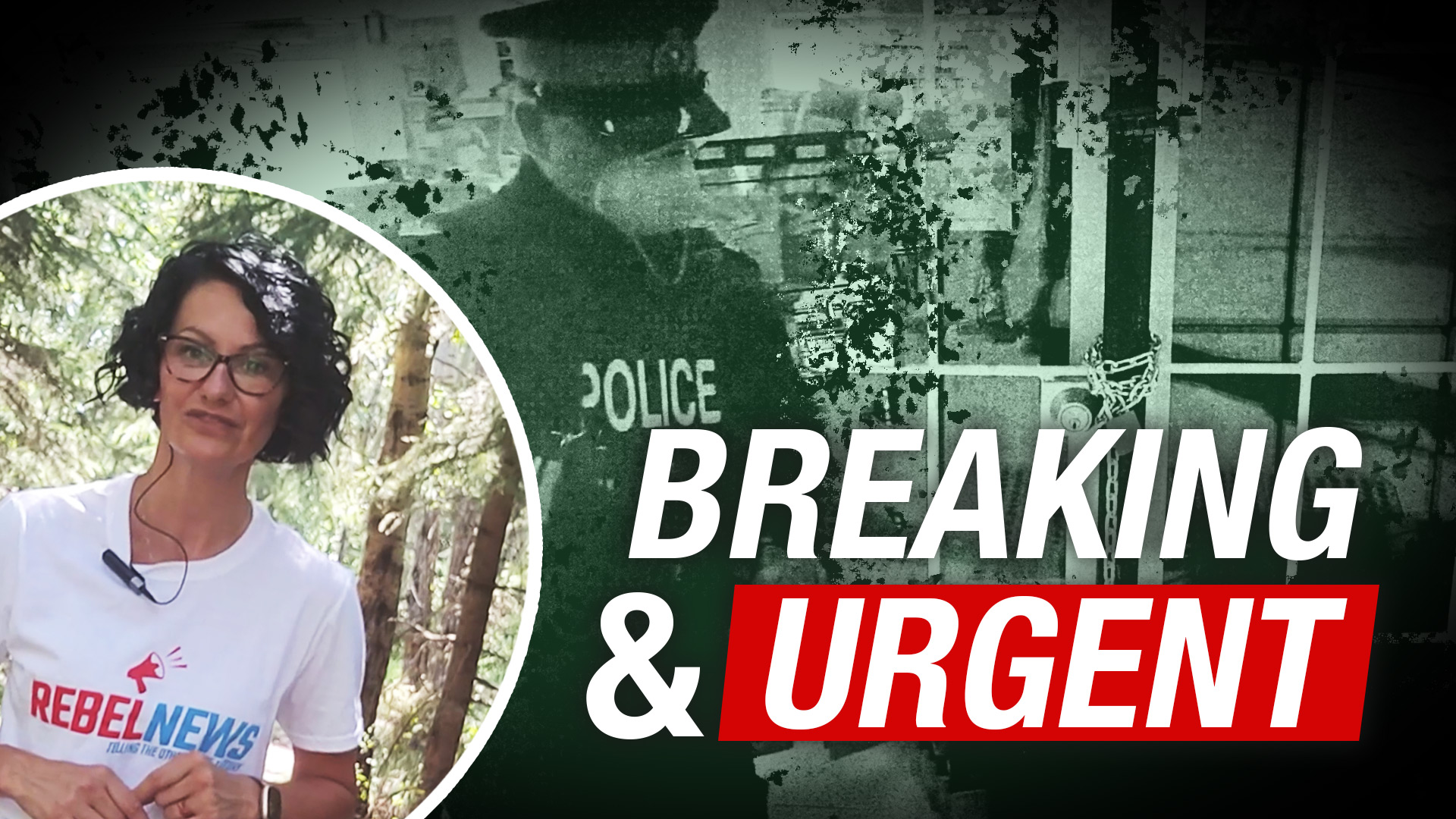 URGENT: Whistle Stop Cafe owner found GUILTY of contempt, will be back in court Wednesday to overturn court order