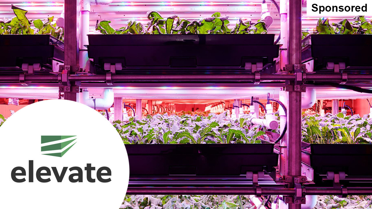 Elevate sponsored ad