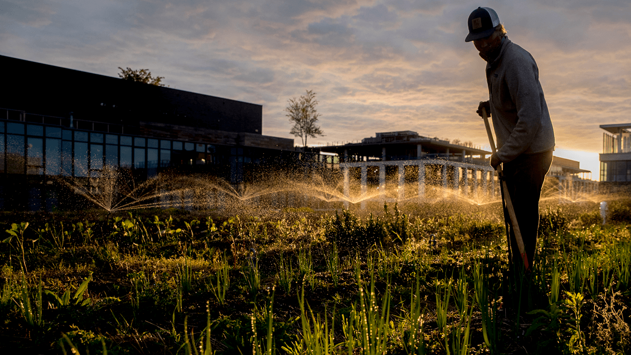 Lawmakers look at ways to stop Chinese firms from expanding purchases of American farmland