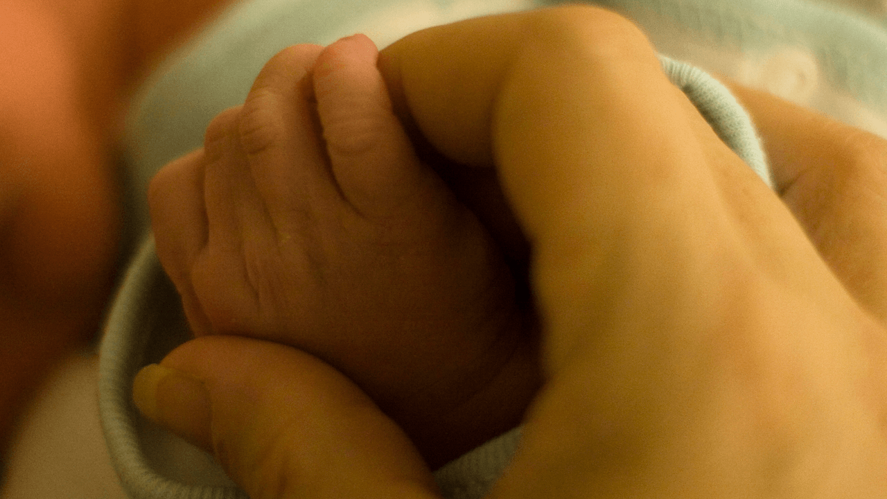 Nearly $3 million in federal funding granted to University of Pittsburgh to become “tissue hub” for human fetal tissue