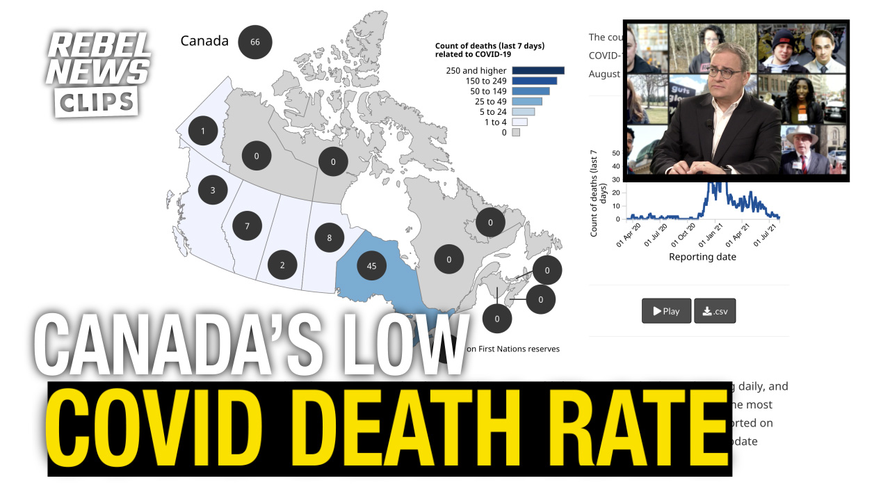 Recent statistics show COVID death numbers plummeting across Canada