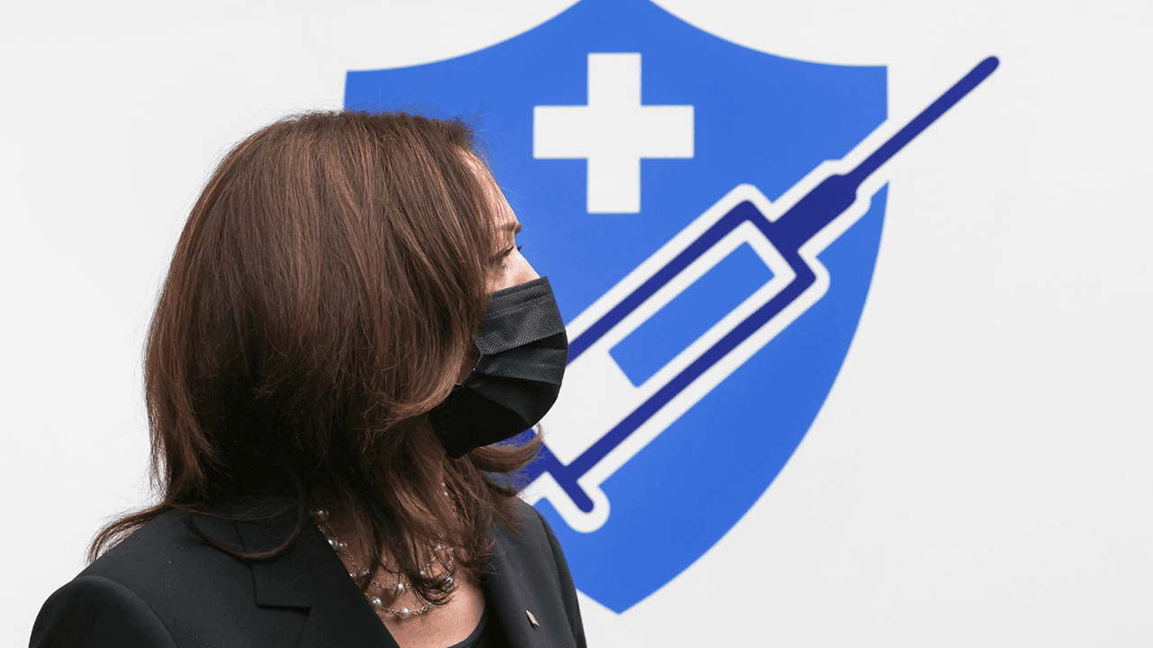 Chicago judge reverses decision to strip mother of parental rights because she wasn’t vaccinated