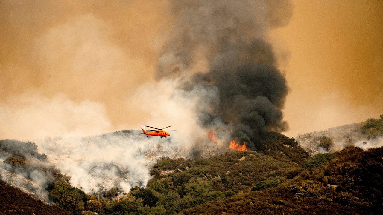 World’s largest tree wrapped in fire-resistant blanket as wildfires threaten California sequoia forest