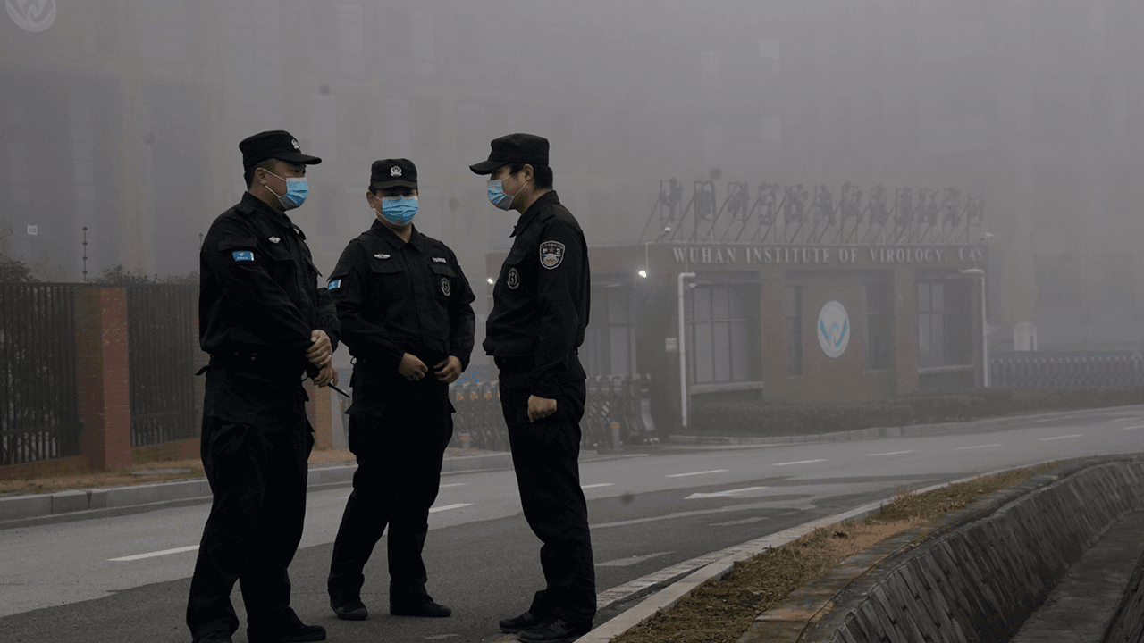Chinese government ordered 'significant' number of COVID tests months before pandemic declared